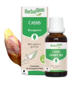 Cassis (Ribes nigrum) bourgeon BIO, 30 ml